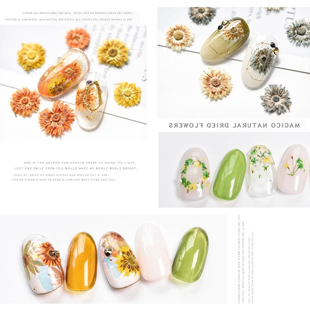 Nail Art Accessories Kits Pressed Dried Flowers Nail Art for Creating Beautiful Nails At Home