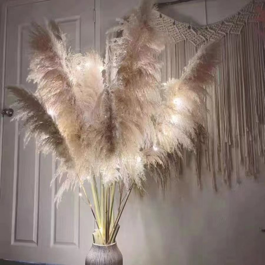 Natural Pampas Grass Decor Tall with 10 Stems. Perfect for Weddings, Parties, Farmhouse, and Boho Home Decor