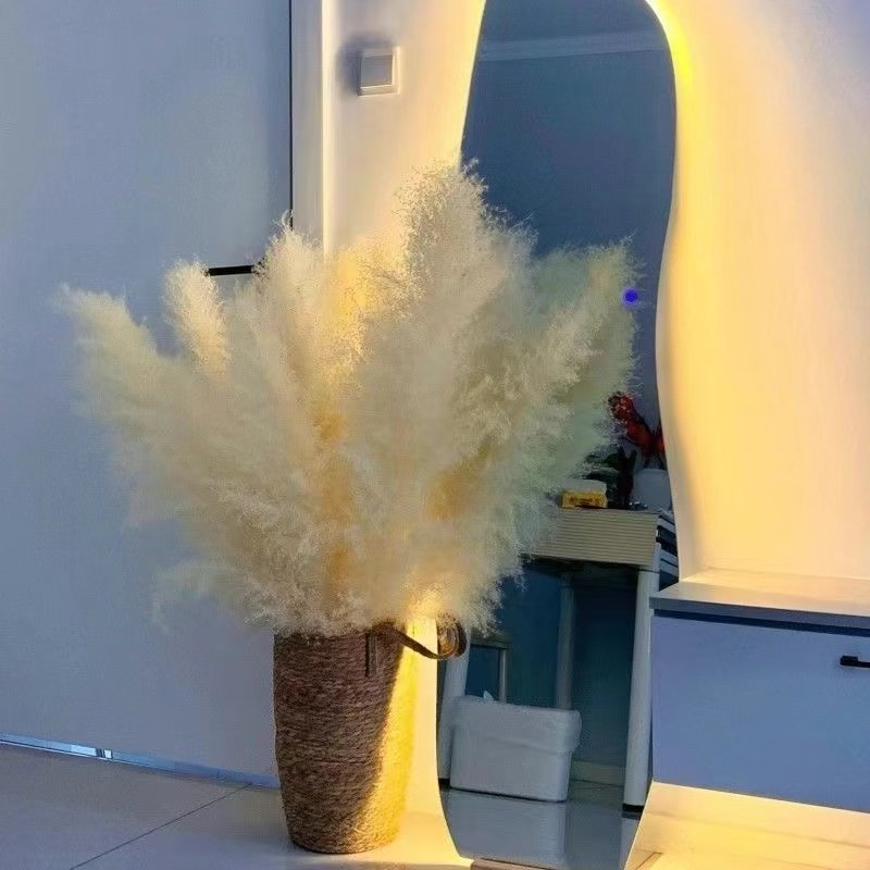 Natural Pampas Grass Decor Tall with 10 Stems. Perfect for Weddings, Parties, Farmhouse, and Boho Home Decor