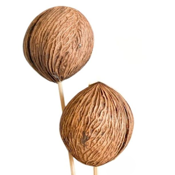 High Quality Artificial Mintola Ball Dried Flower For Home Decor Weeding Birthday Decoration