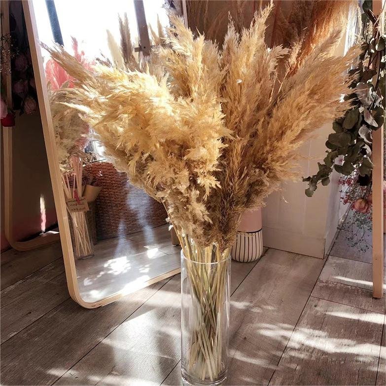 Hot Selling Dried Flower Set Small Dry Pampasgrass Rabbit Tail Wedding Flower Arrangement