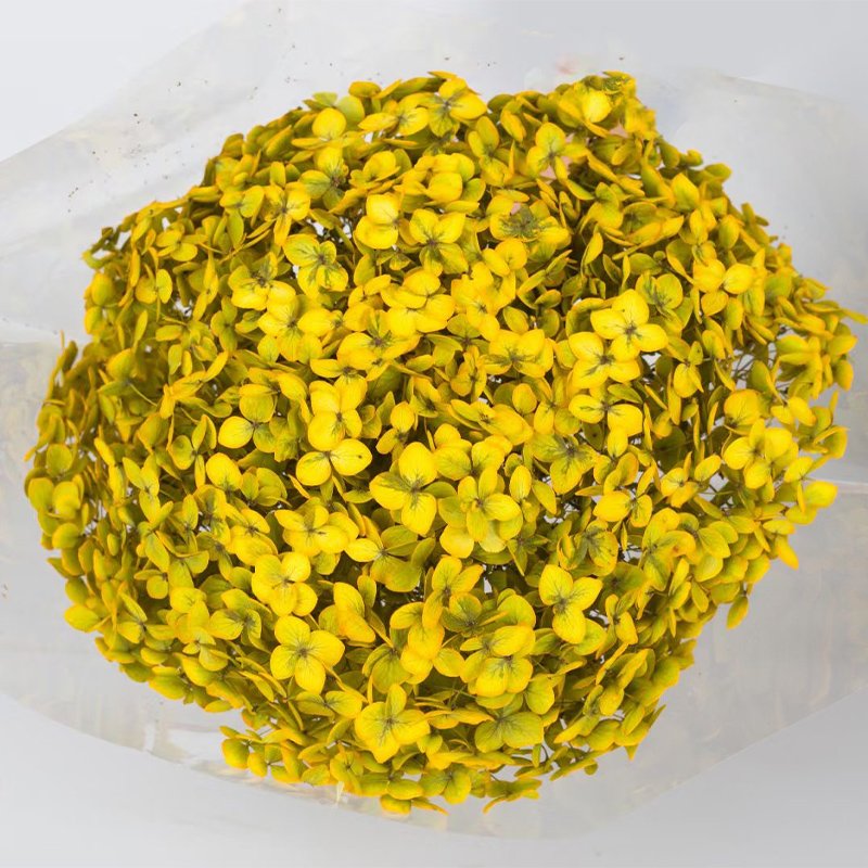 Factory Directly Preserved flower Single Stem Hydrangeas In Various Colors Dried Hydrangeas Flower For Home Wedding Decoration