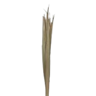 Wholesale Good Quality Natural Sun Palm Leaf For Wedding Home DIY Decoration Dried Flower Arrangement