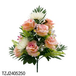 TZJ2405250