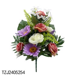 TZJ2405254