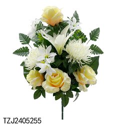 TZJ2405255