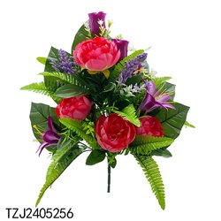 TZJ2405256