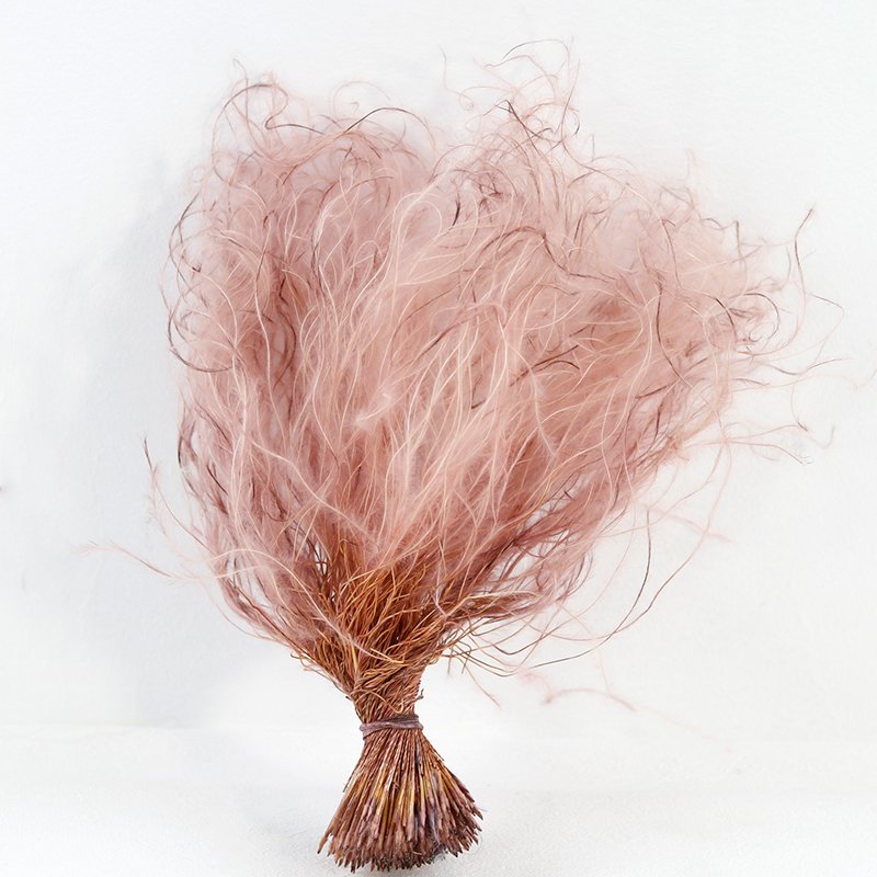 GH-055 direct sales low price wholesale yunnan white red dry Fairy grass dried feather grass flower decor