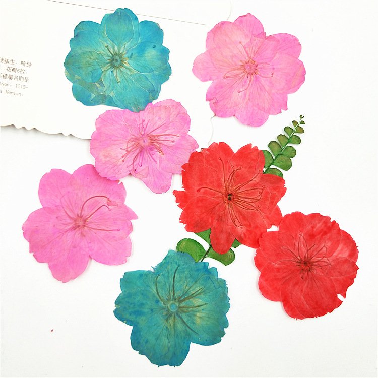 Sakura Oriental Cherry Dye Color Dried Flowers Diy Materials Homemade Candles