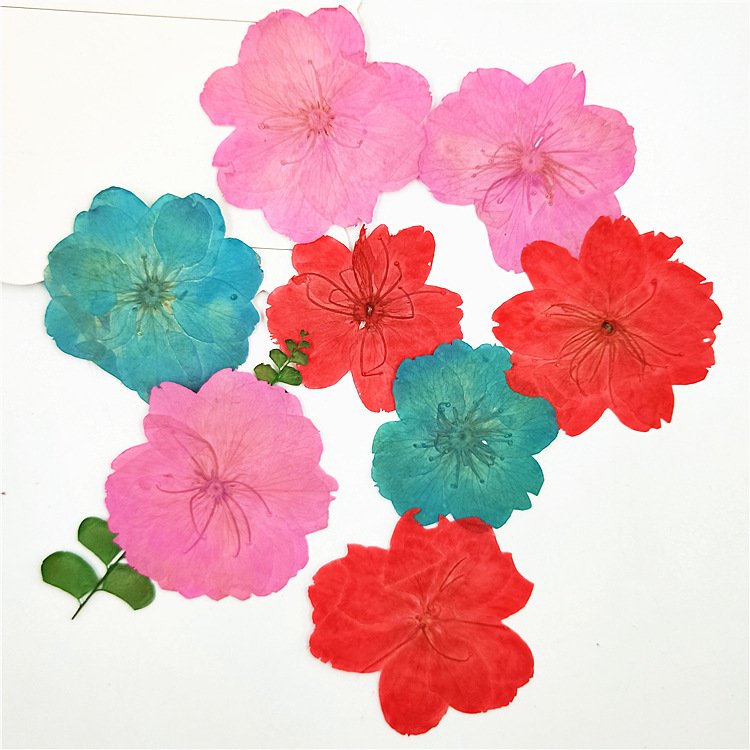 Sakura Oriental Cherry Dye Color Dried Flowers Diy Materials Homemade Candles