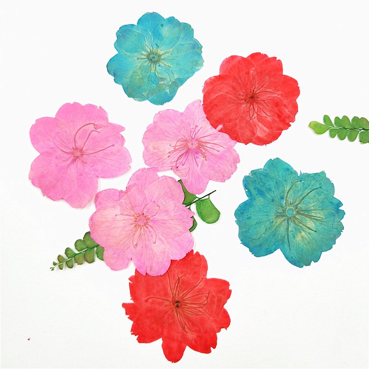 Sakura Oriental Cherry Dye Color Dried Flowers Diy Materials Homemade Candles