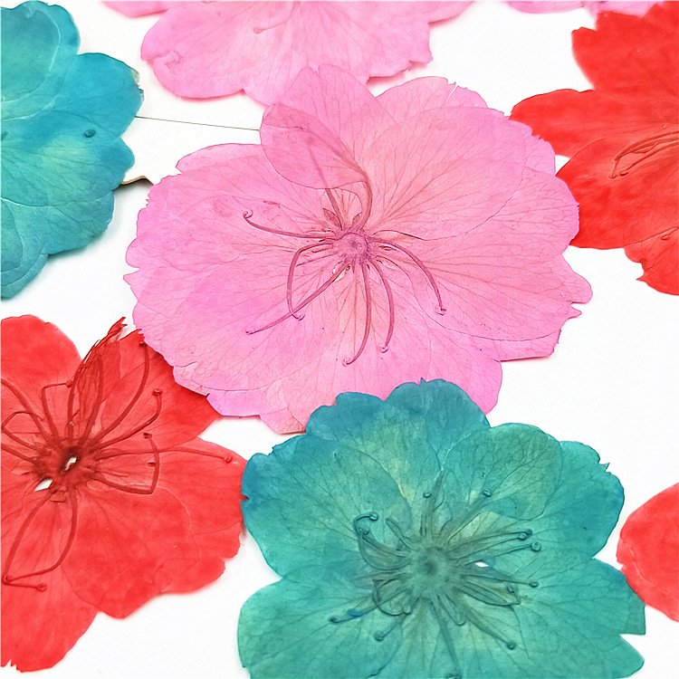 Sakura Oriental Cherry Dye Color Dried Flowers Diy Materials Homemade Candles