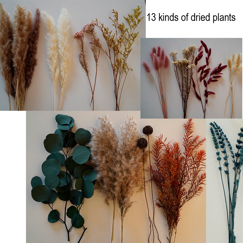 Natural Dried Pampas Grass Bouquet Lavender Eucalyptus Leaf Decor Bohemian Style for Family Wedding Country Farmhouse Decorated