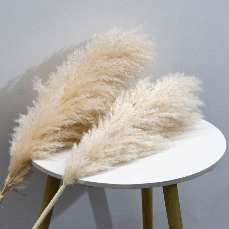 2023 wholesale natural wedding centerpieces dried flower decorative flowers short large pampas grass pampa decor