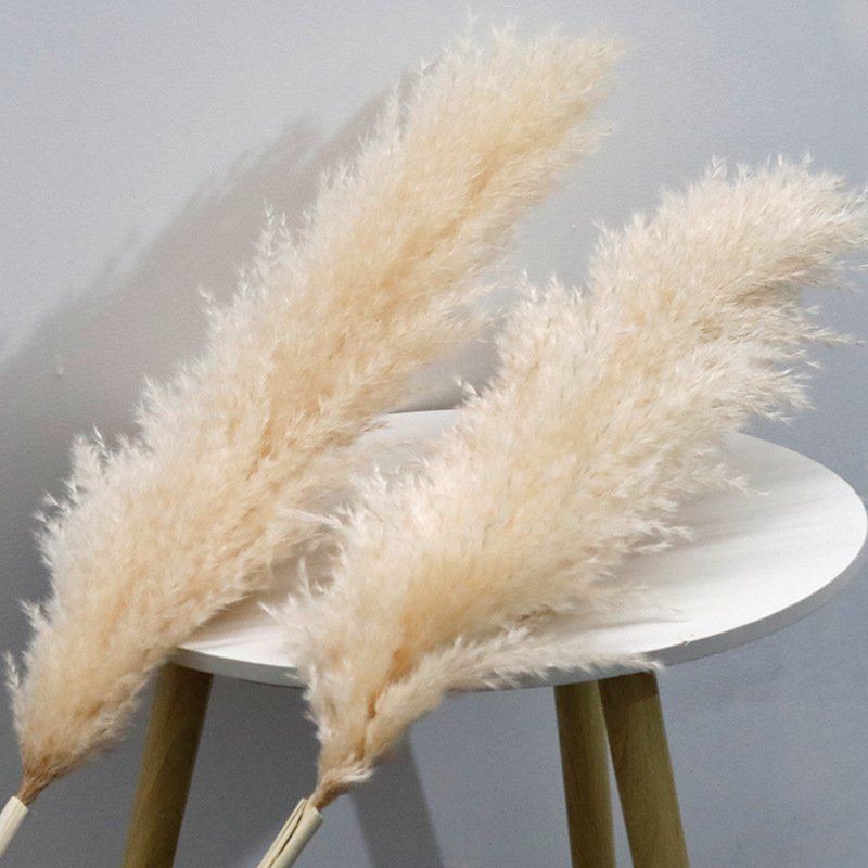 2023 wholesale natural wedding centerpieces dried flower decorative flowers short large pampas grass pampa decor