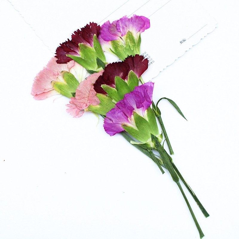 Mother's Day Gift Dried Pressed Carnations Flowers for DIY Crafts Resin Art Soaps Candles Gift Cards