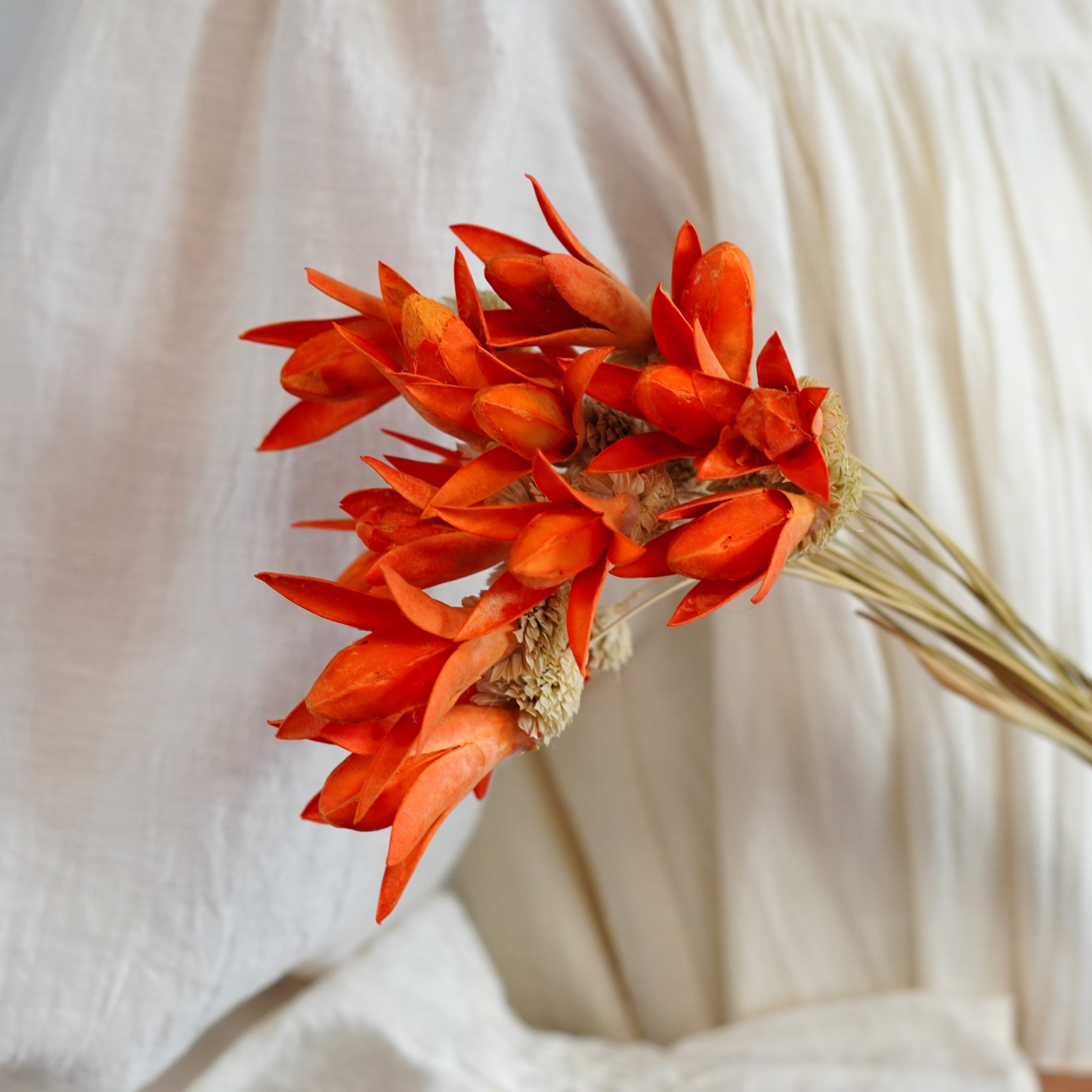 Handmade strawberry fruit with stems Home Wedding Decor High dried Flowers Colorful