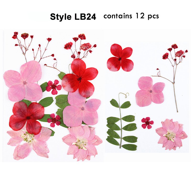 Factory Directly Sell Nails Candles Resin Epoxy Use Pressed Preserved Dry Natural Plants Dried Flower