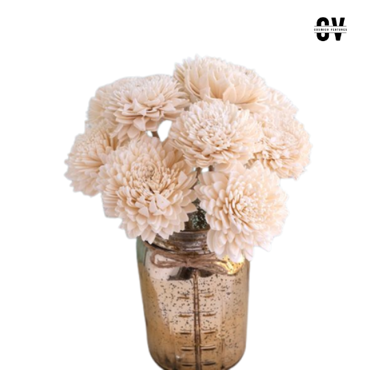 High-Quality Natural Sola Zinnia Dried Flowers Wholesale- Perfect for Home & Wedding Decor & Floral Arrangements