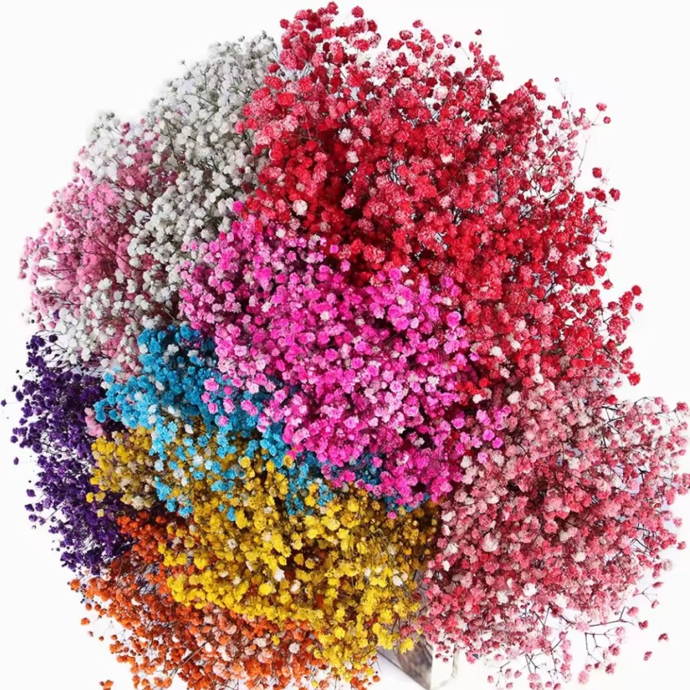 Save big on stunning preserved wedding dried gypsophila flowers