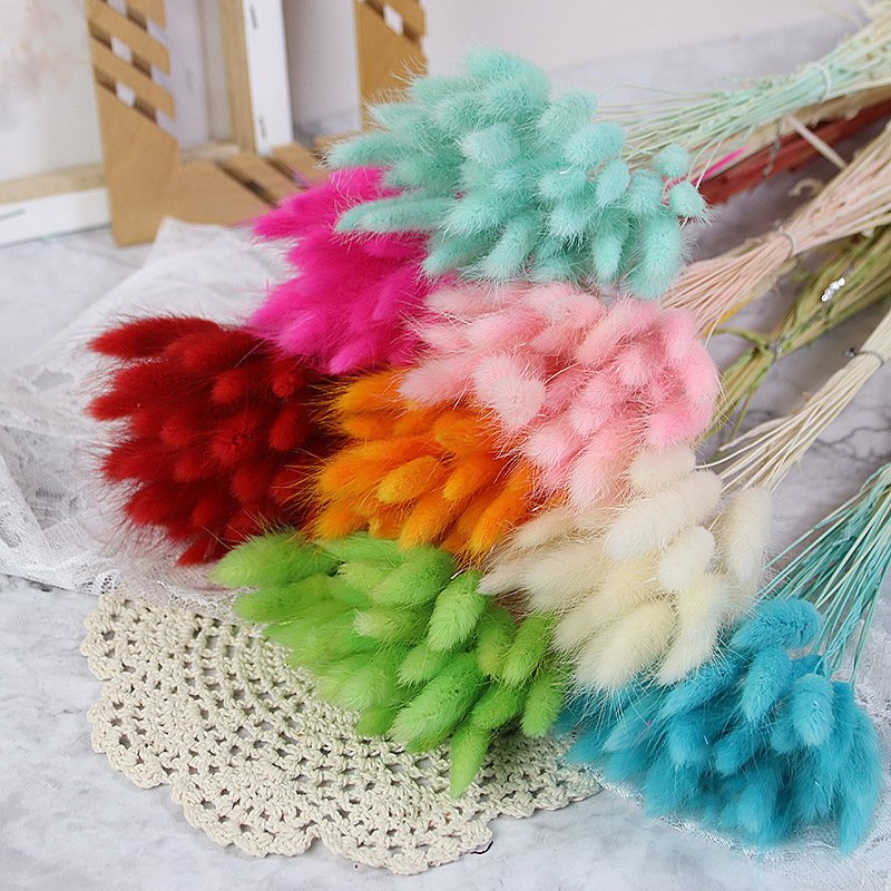 Natural Preserved Pampas Grass Bouquet Dried Lagurus Ovatus Flowers with Bunny Rabbit Tails Wedding Decorations