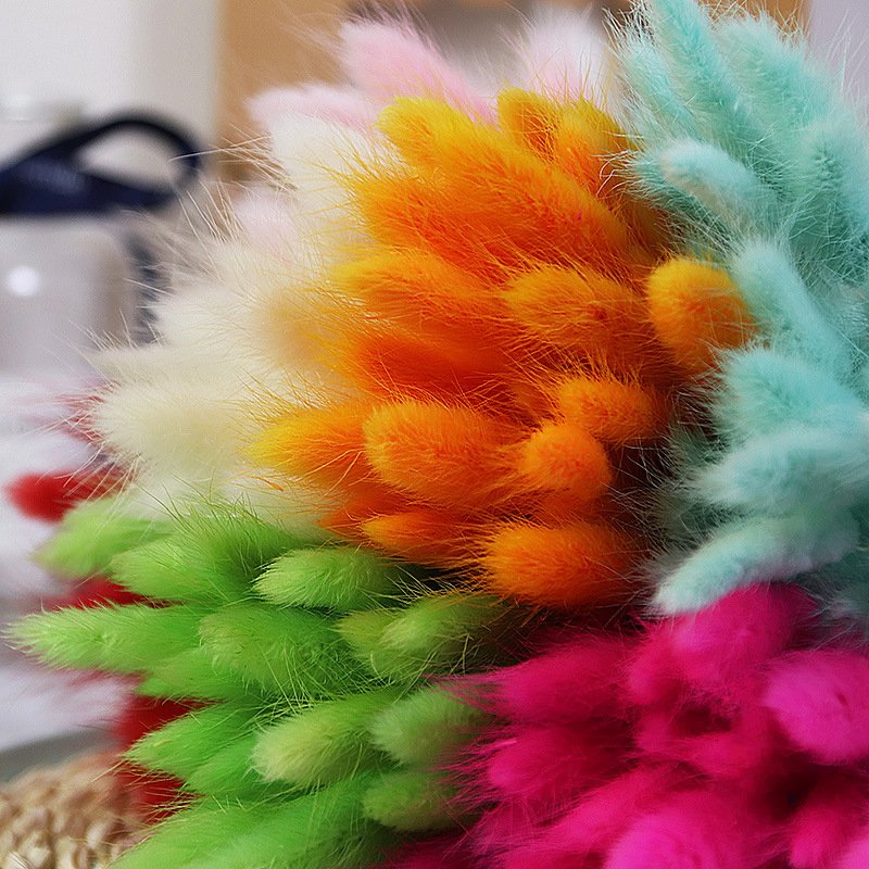 Natural Preserved Pampas Grass Bouquet Dried Lagurus Ovatus Flowers with Bunny Rabbit Tails Wedding Decorations