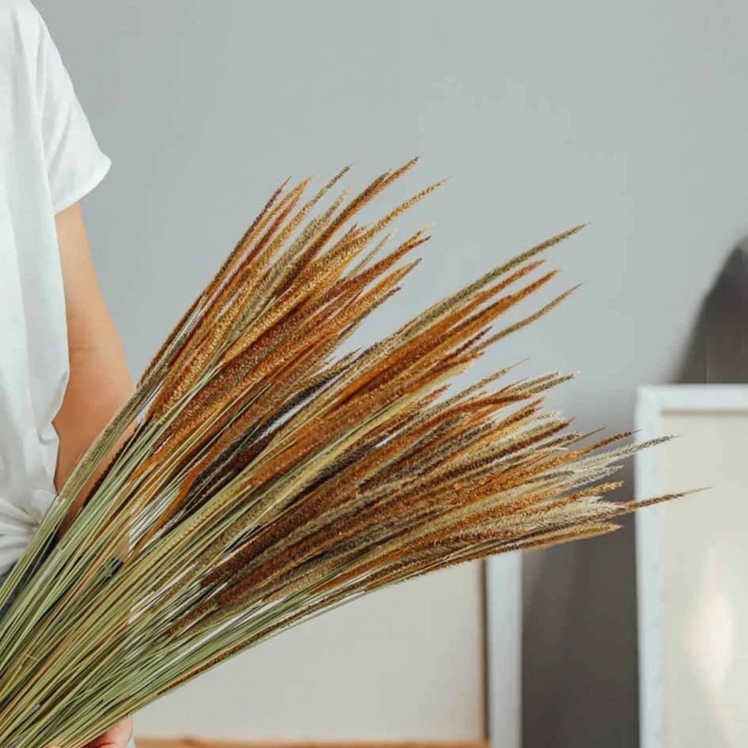 New Product Preserved Kirin Grass dried flower grass Decoration for wedding decor