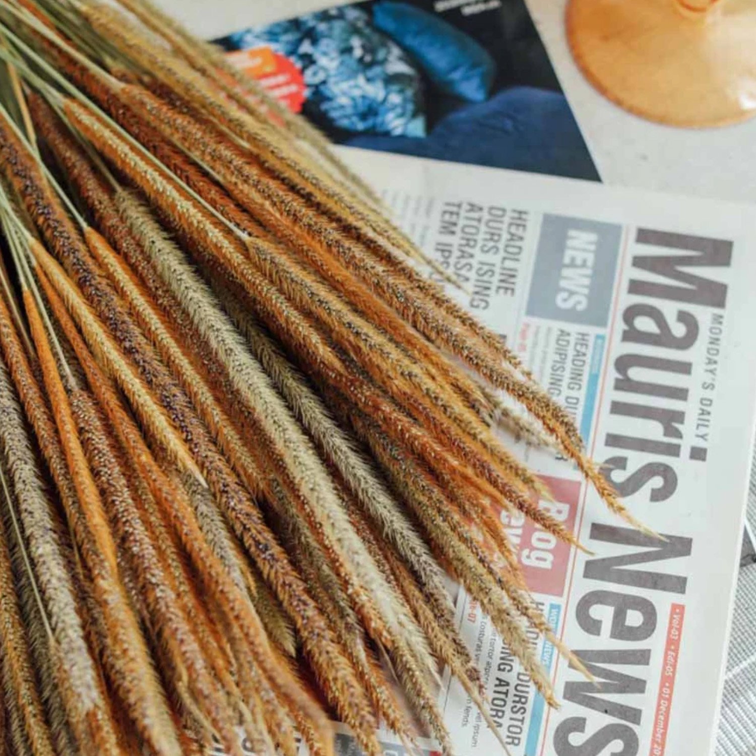 New Product Preserved Kirin Grass dried flower grass Decoration for wedding decor