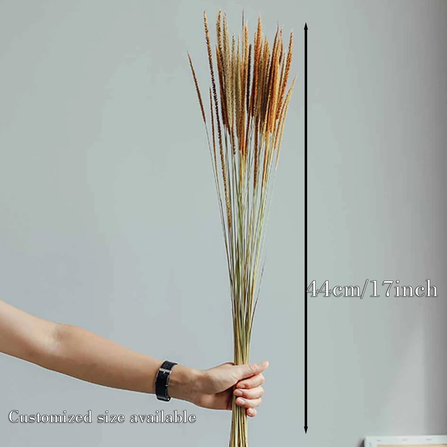 New Product Preserved Kirin Grass dried flower grass Decoration for wedding decor