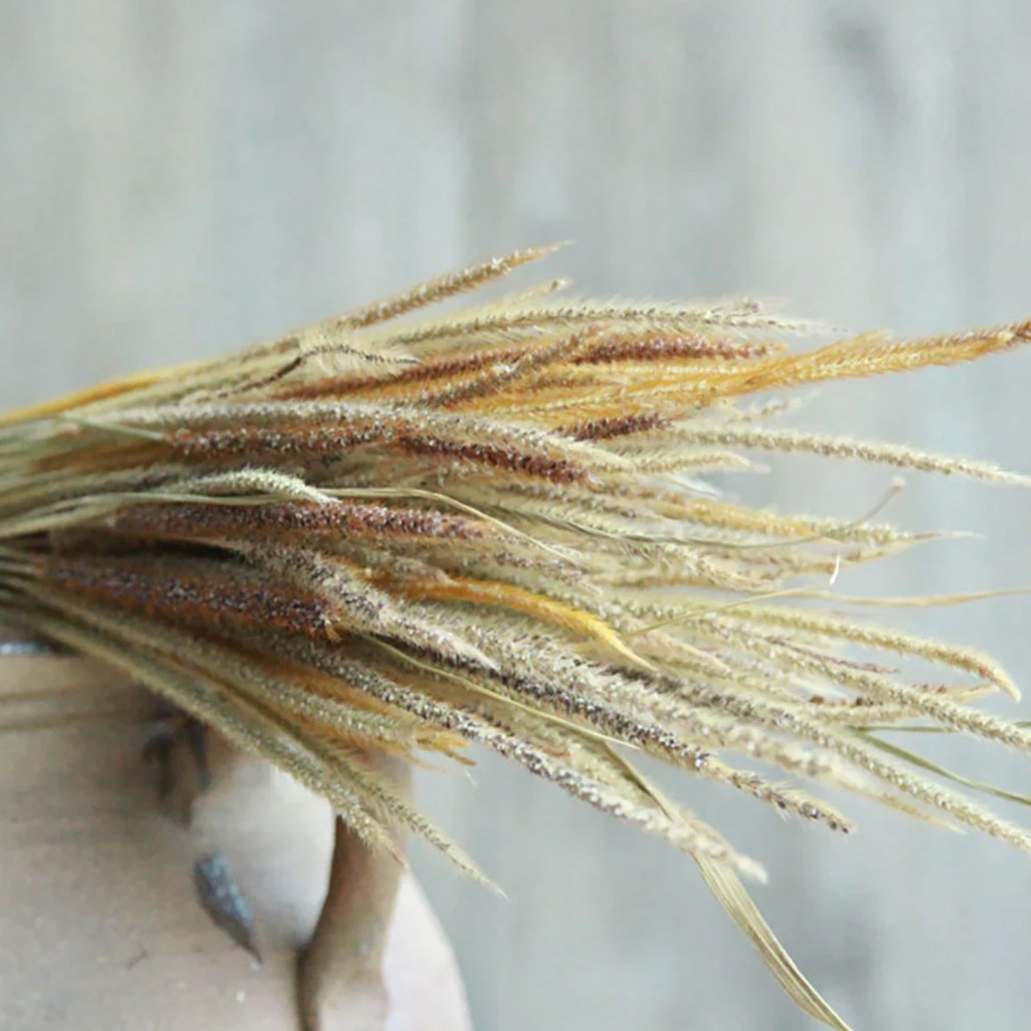 New Product Preserved Kirin Grass dried flower grass Decoration for wedding decor