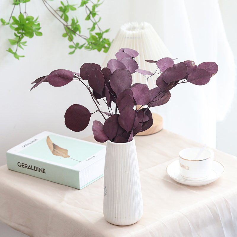 Preserved Decoration Leaves Home Wall Decoration Preserved Plants Forever Eucalyptus Leaves dried flower bouquet