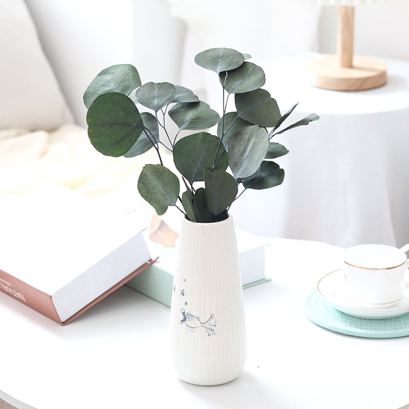 Preserved Decoration Leaves Home Wall Decoration Preserved Plants Forever Eucalyptus Leaves dried flower bouquet
