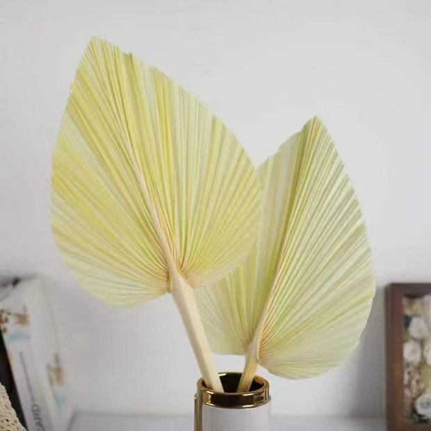 Dried flower palm leaf bleach Macron color eternal dried flower wedding scene floral decoration