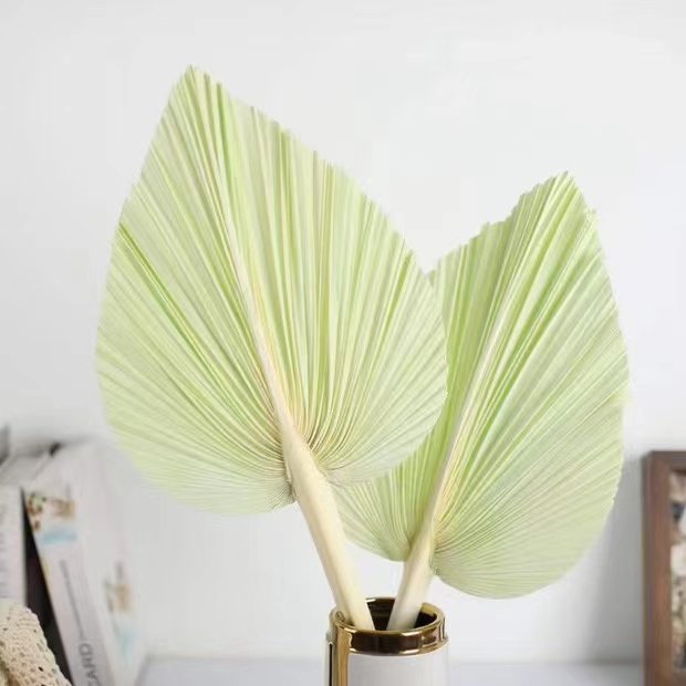 Dried flower palm leaf bleach Macron color eternal dried flower wedding scene floral decoration