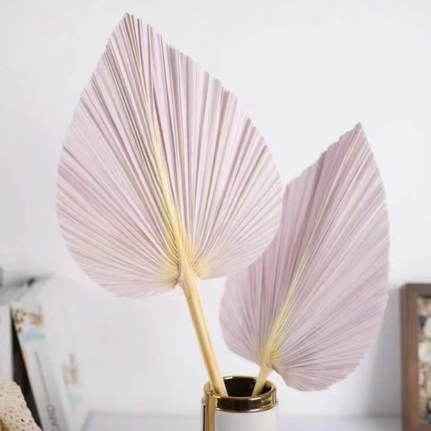 Dried flower palm leaf bleach Macron color eternal dried flower wedding scene floral decoration