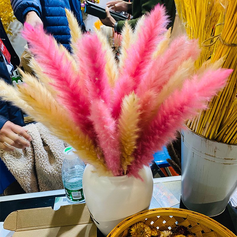 Reed Dried Decorative Pampas Grass Vase Grass Flower Dried Reed Decoration Carton Easter Decorations Natural Mother's Day Gift