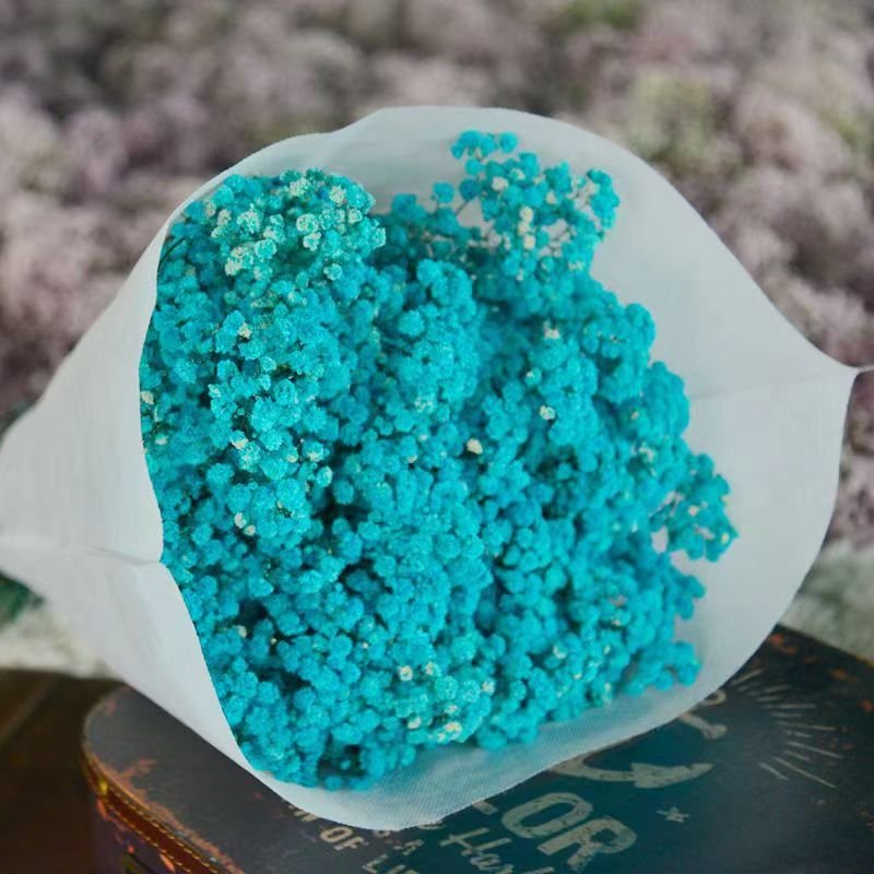 Gift Preserved Flowers babybreath flowers dried babys breath flowers decoration