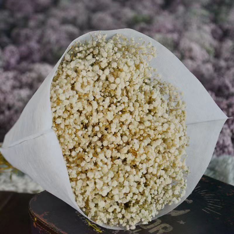 Gift Preserved Flowers babybreath flowers dried babys breath flowers decoration