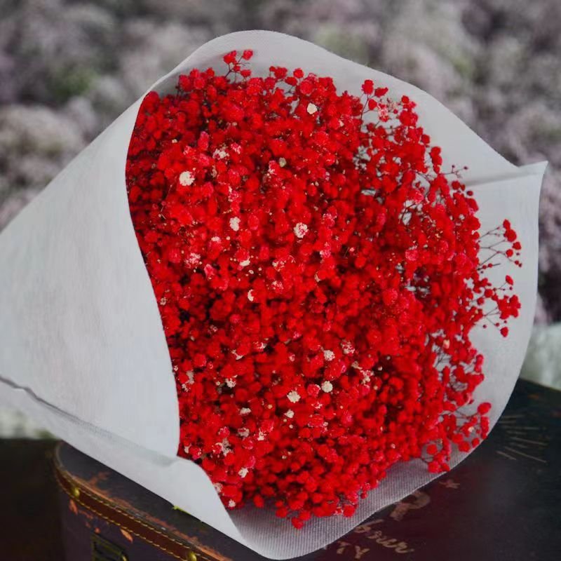 Gift Preserved Flowers babybreath flowers dried babys breath flowers decoration