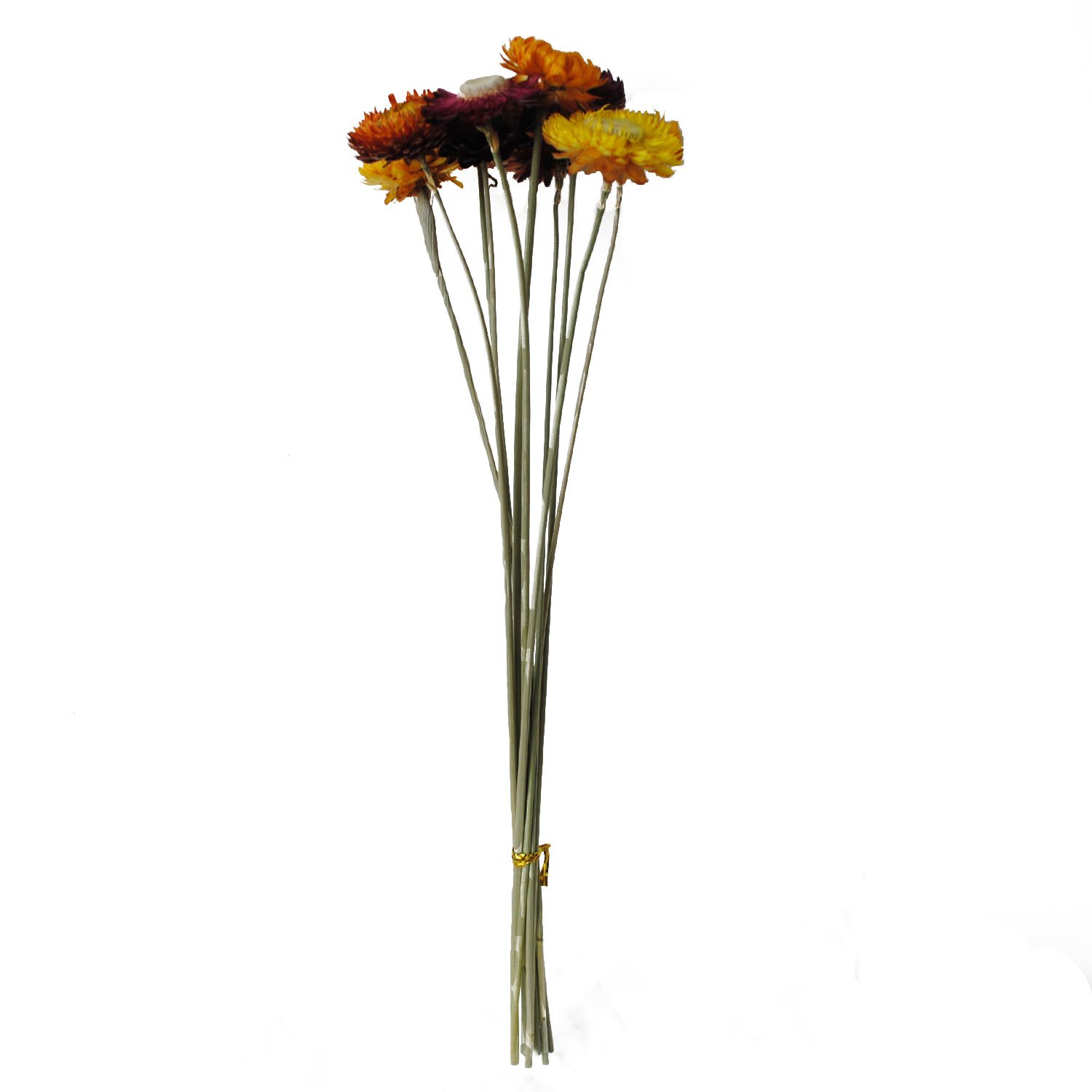 Natural Dried Flowers Bouquet Chrysanthemum Cotton Eucalyptus Leaves DIY Bouquet For Home Party Wedding Decoration