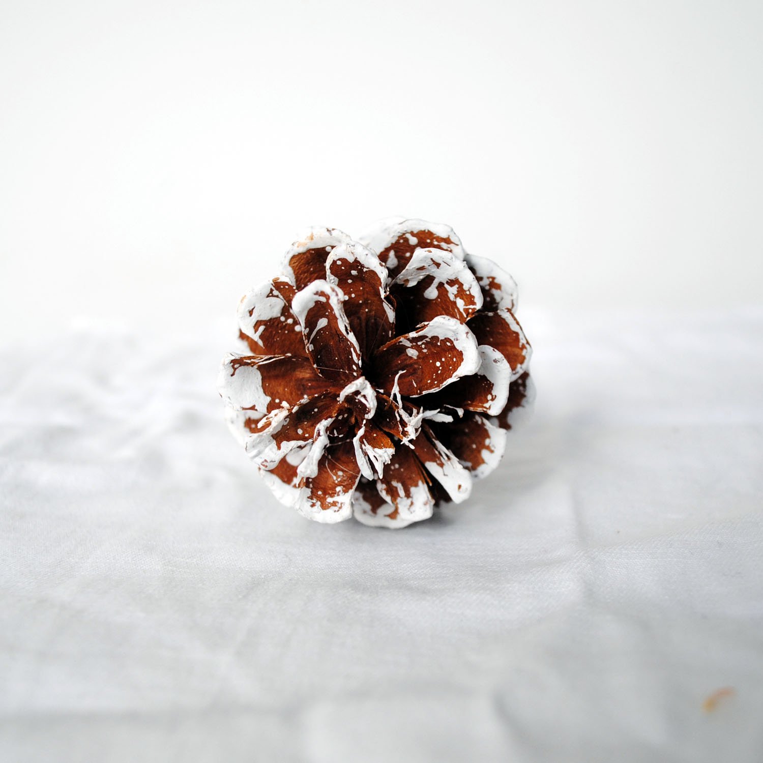 Natural Dried Flowers Bouquet Chrysanthemum Cotton Eucalyptus Leaves DIY Bouquet For Home Party Wedding Decoration