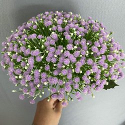 lilac