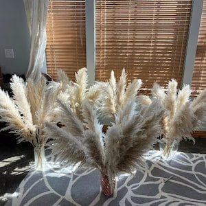 PAMPAS GRASS 2-4ft Grand Sale Boho Home Decor Wedding Floral Decorations Flower Arranging Pampas Bouquet Bohemian