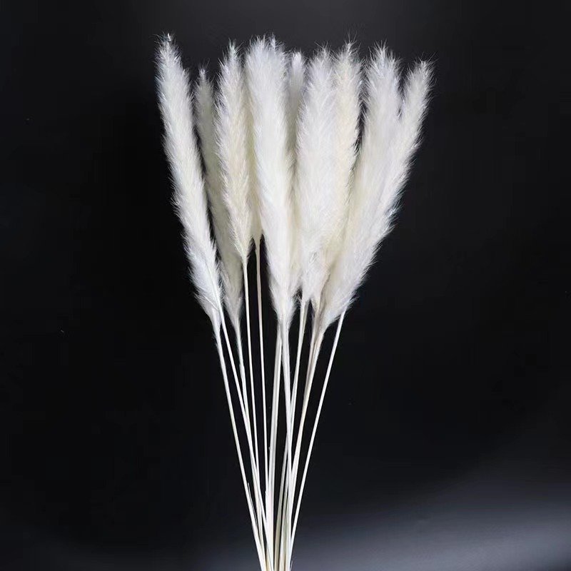Wholesale Small Size Dried Flowers Pampas Grass Natural Pampas For Wedding DecorWisteria Flower