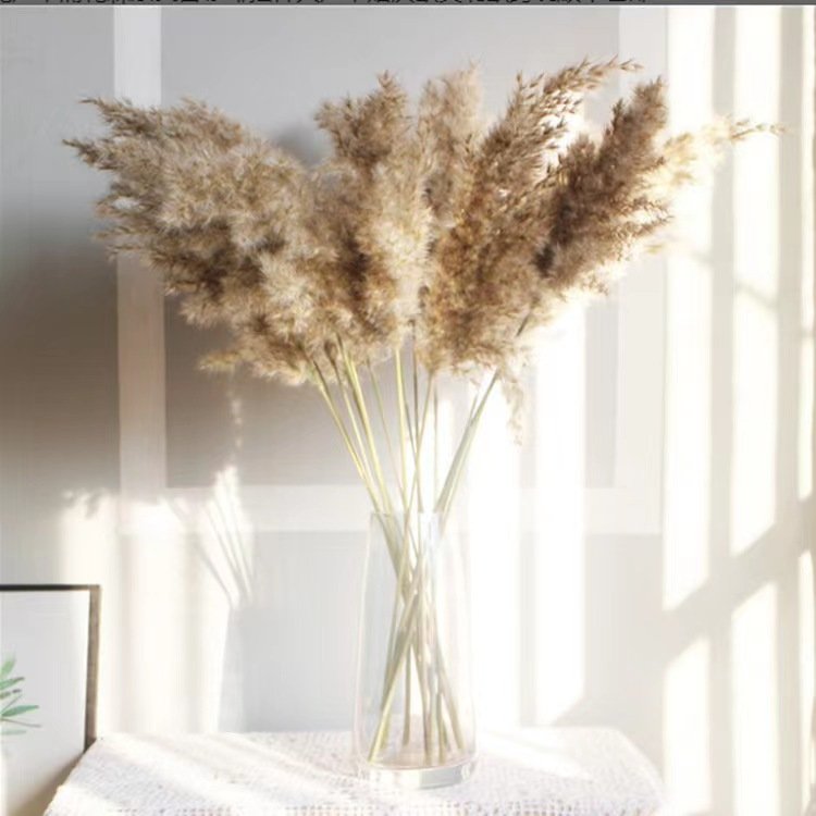 Wholesale Small Size Dried Flowers Pampas Grass Natural Pampas For Wedding DecorWisteria Flower