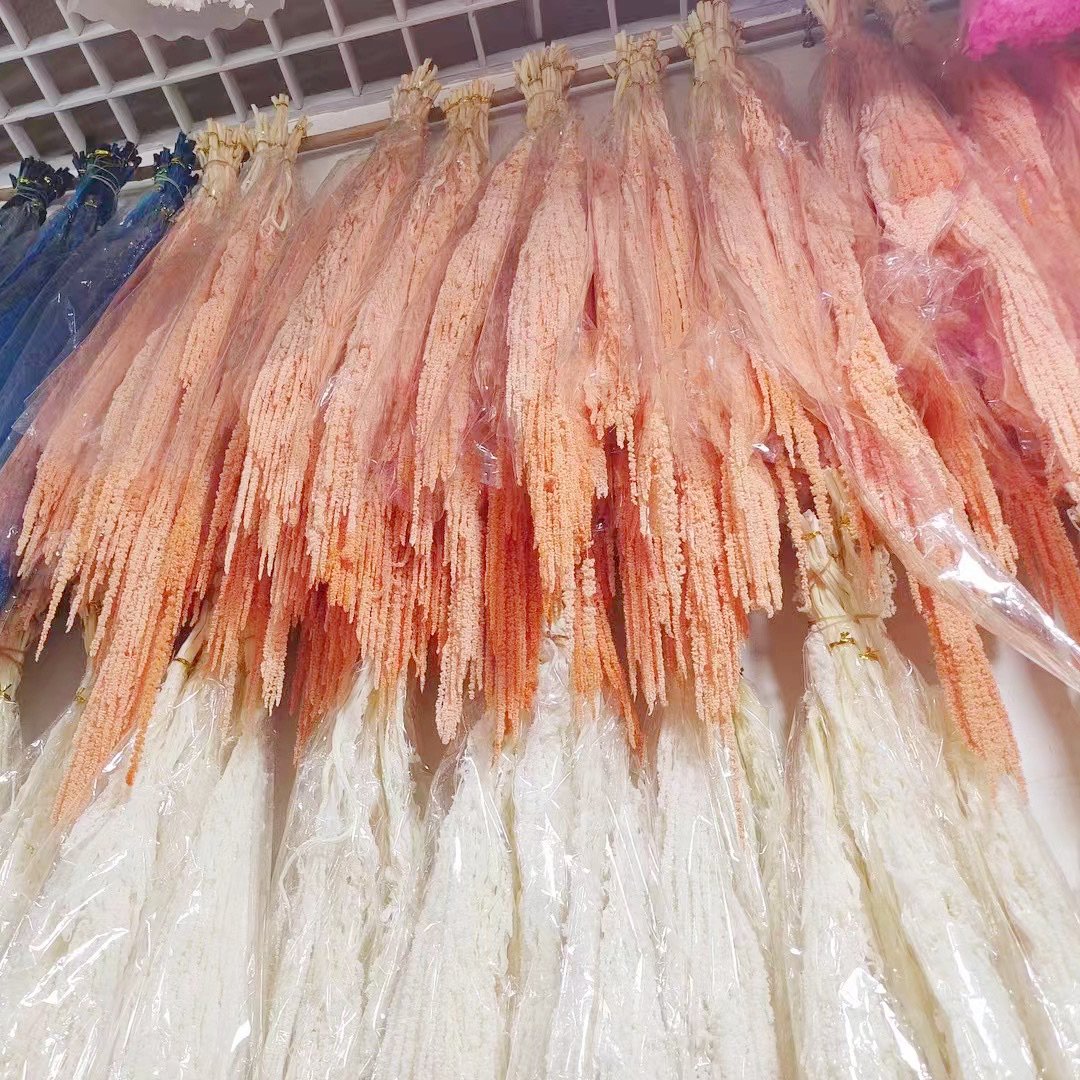 2023 new product preserved Amaranthus dried flowers and plants home/Wedding decoration events party supplies