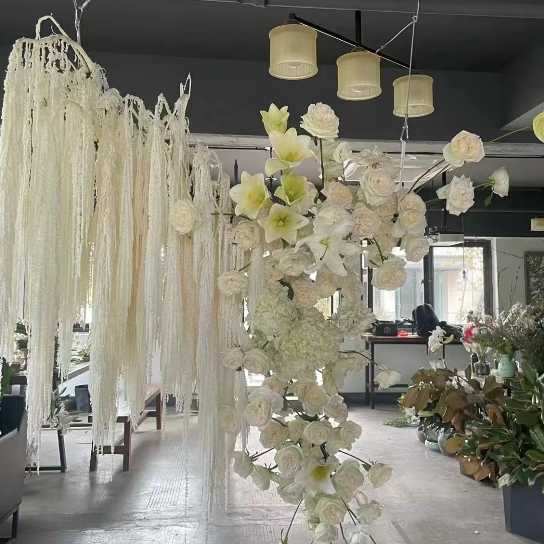 2023 new product preserved Amaranthus dried flowers and plants home/Wedding decoration events party supplies