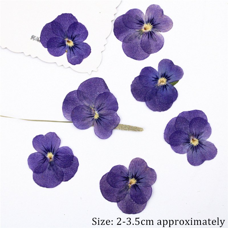 DIY handmade wedding gift dried flowers for candles personalized candles scented flower dried