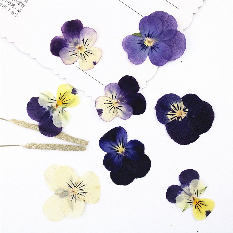DIY handmade wedding gift dried flowers for candles personalized candles scented flower dried