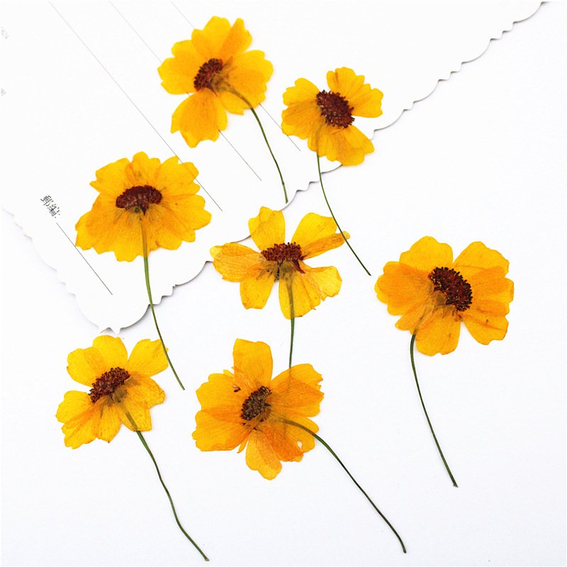 DIY handmade wedding gift dried flowers for candles personalized candles scented flower dried